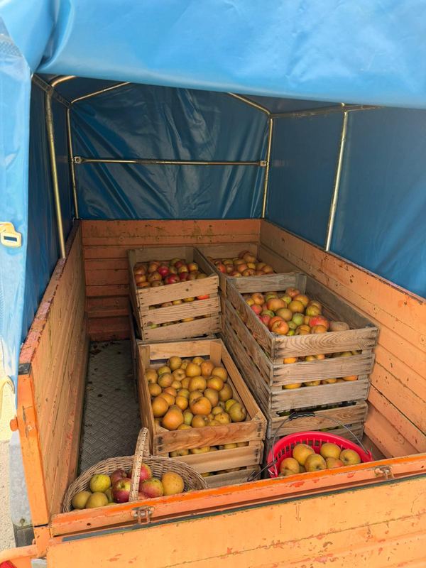 Caisses de fruits chargées dans la remorque
